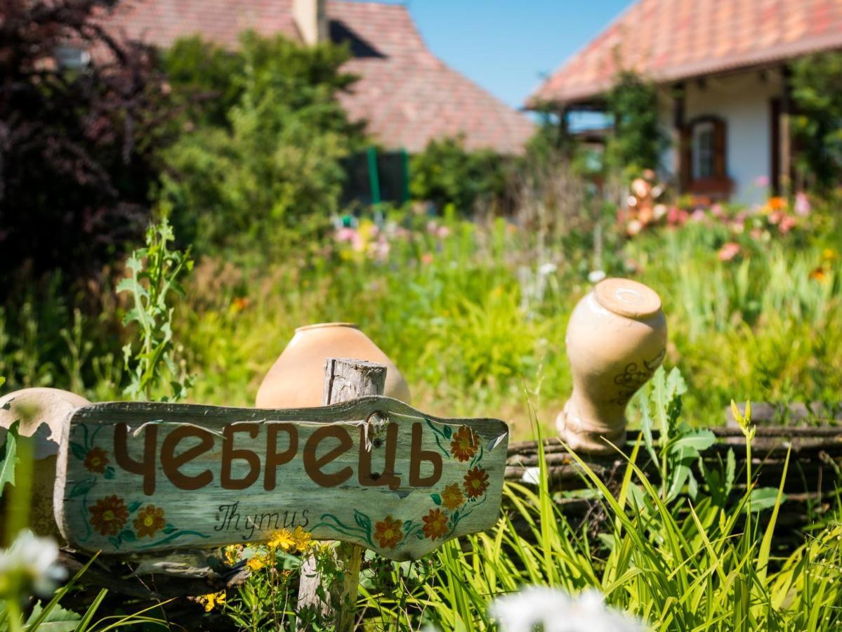 Vesela Sadyba Veselivka Exterior photo